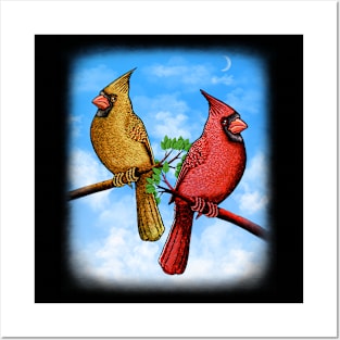 Red Cardinal bird cute red birds Posters and Art